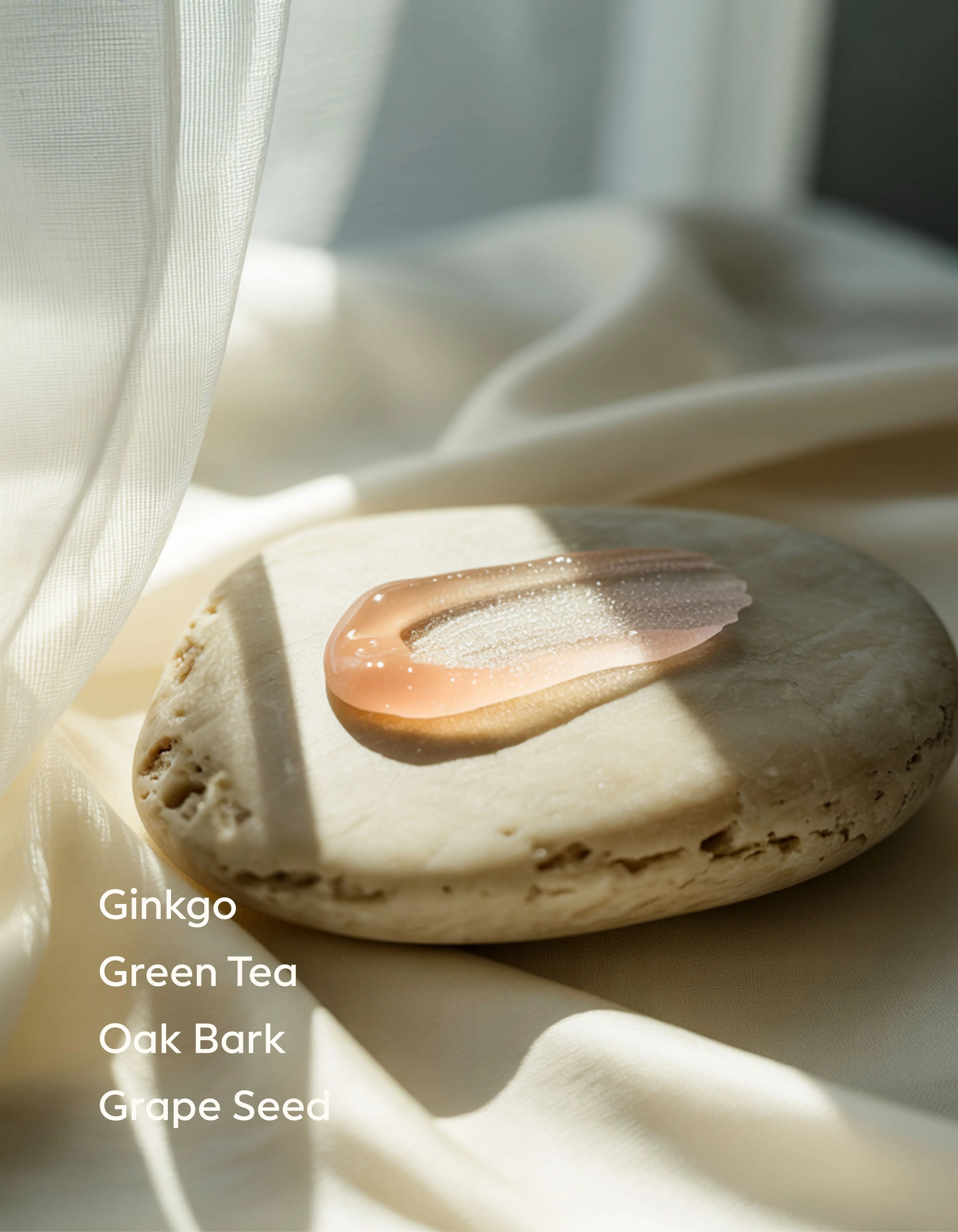 GINKGO ANTIOXIDANT GEL BOOSTER